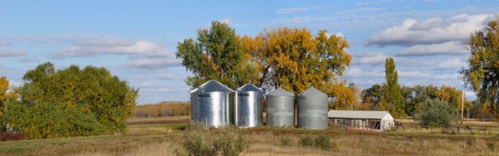 grain storage bins